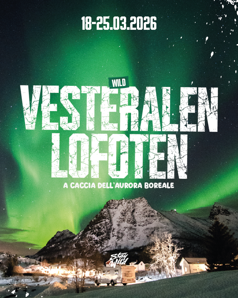 Lofoten & Vesteralen Wild
